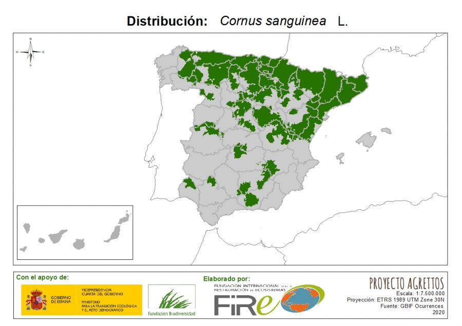Distribución de Cornus sanguinea. Fuente: MITECO