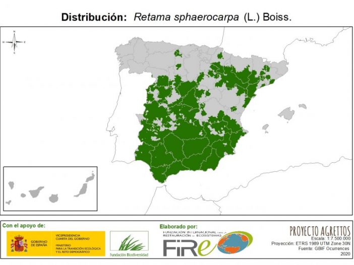 Distribución de Retama sphaerocarpa. Fuente: MITECO