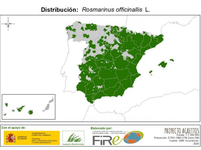 Distribución de Salvia rosmarinus. Fuente: MITECO