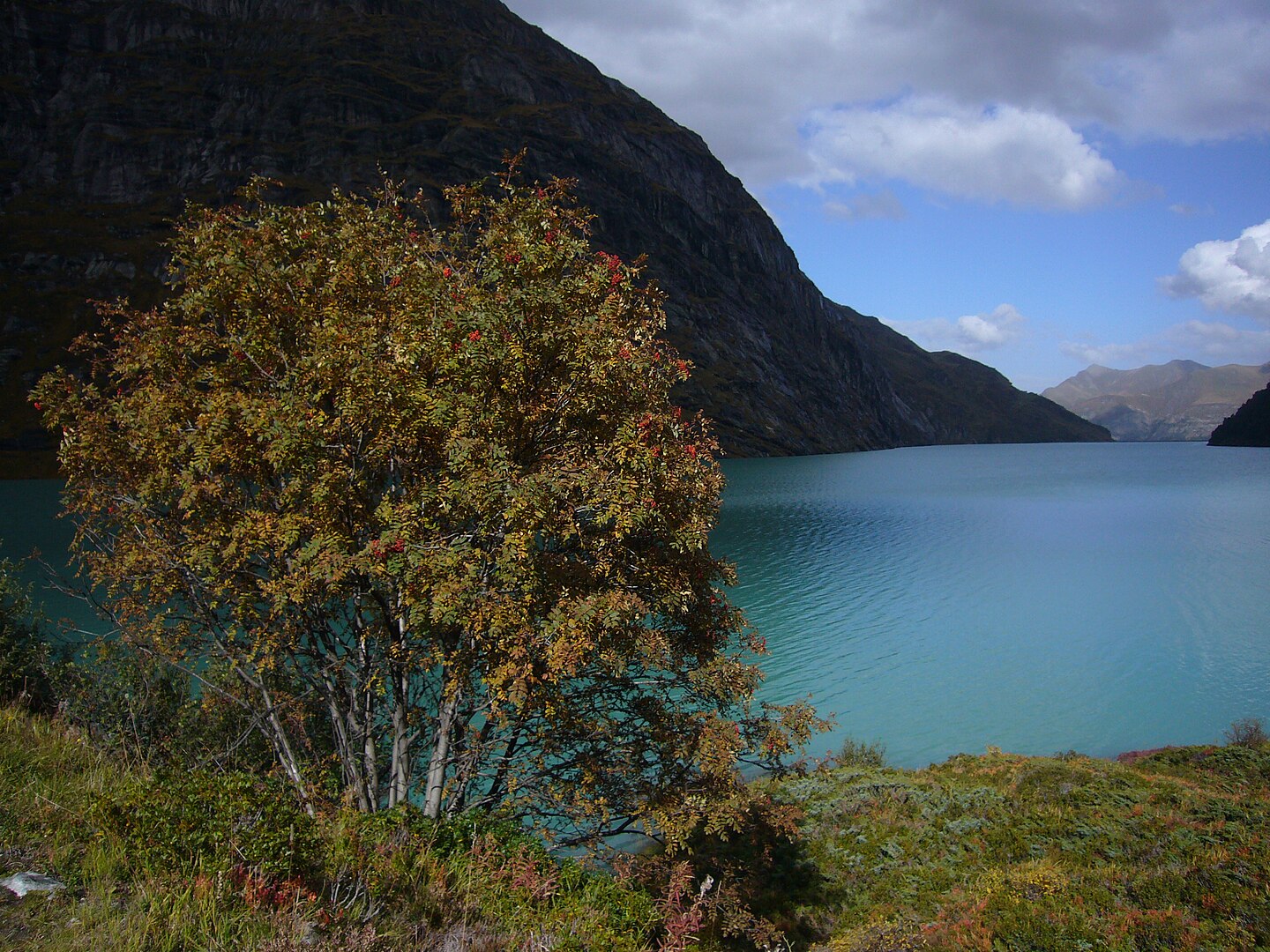 Fuente: Caumasee