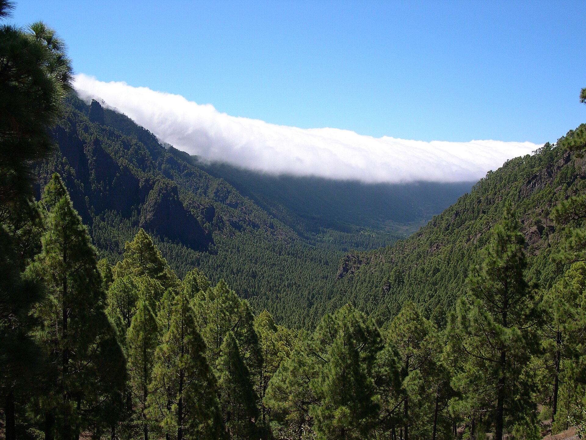 Ladera de Sotavento en la isla de La Palma: Fuente: I, Luc Viatour