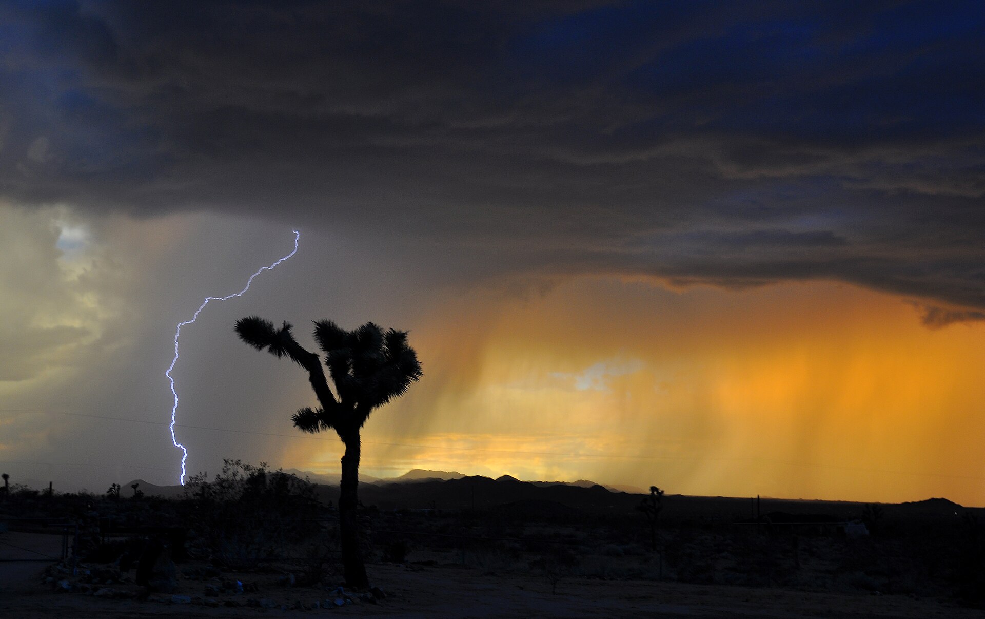 Las tormentas son una de los únicos fenómenos que provocan precipitaciones en regiones desérticas. Fuente: Jessie Eastland