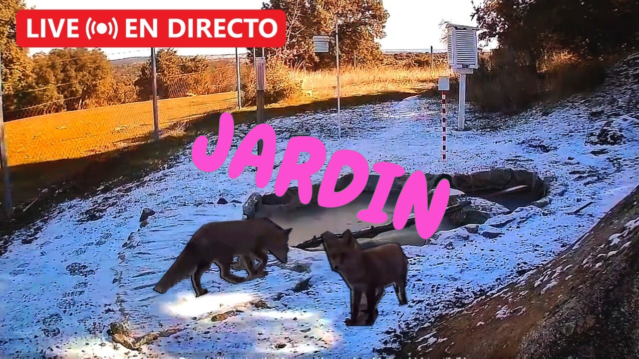 Jardín Meteorológico Jardín Meteorológico