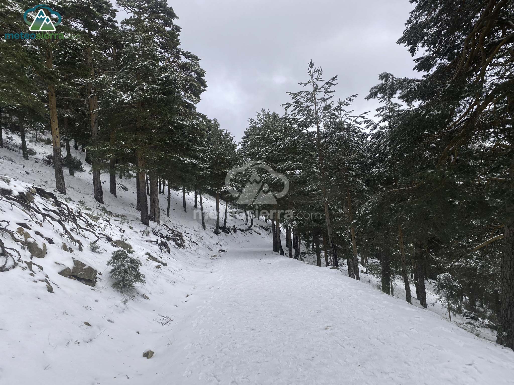 De vuelta en la pista