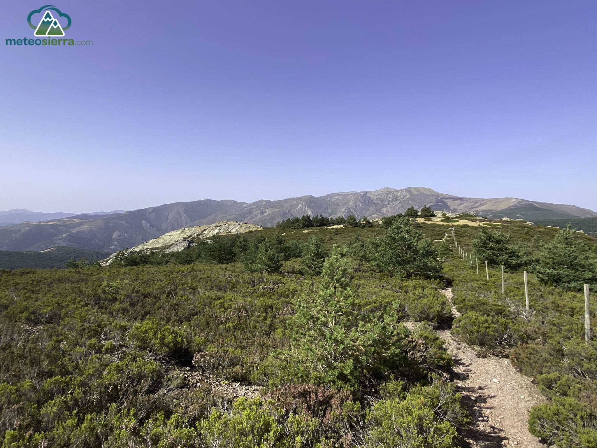 Vista atrás. En primera instancia, el Collado de los Lobos (1857 m). Detrás, el Pico del Lobo (2273 m) consumido por un incendio
