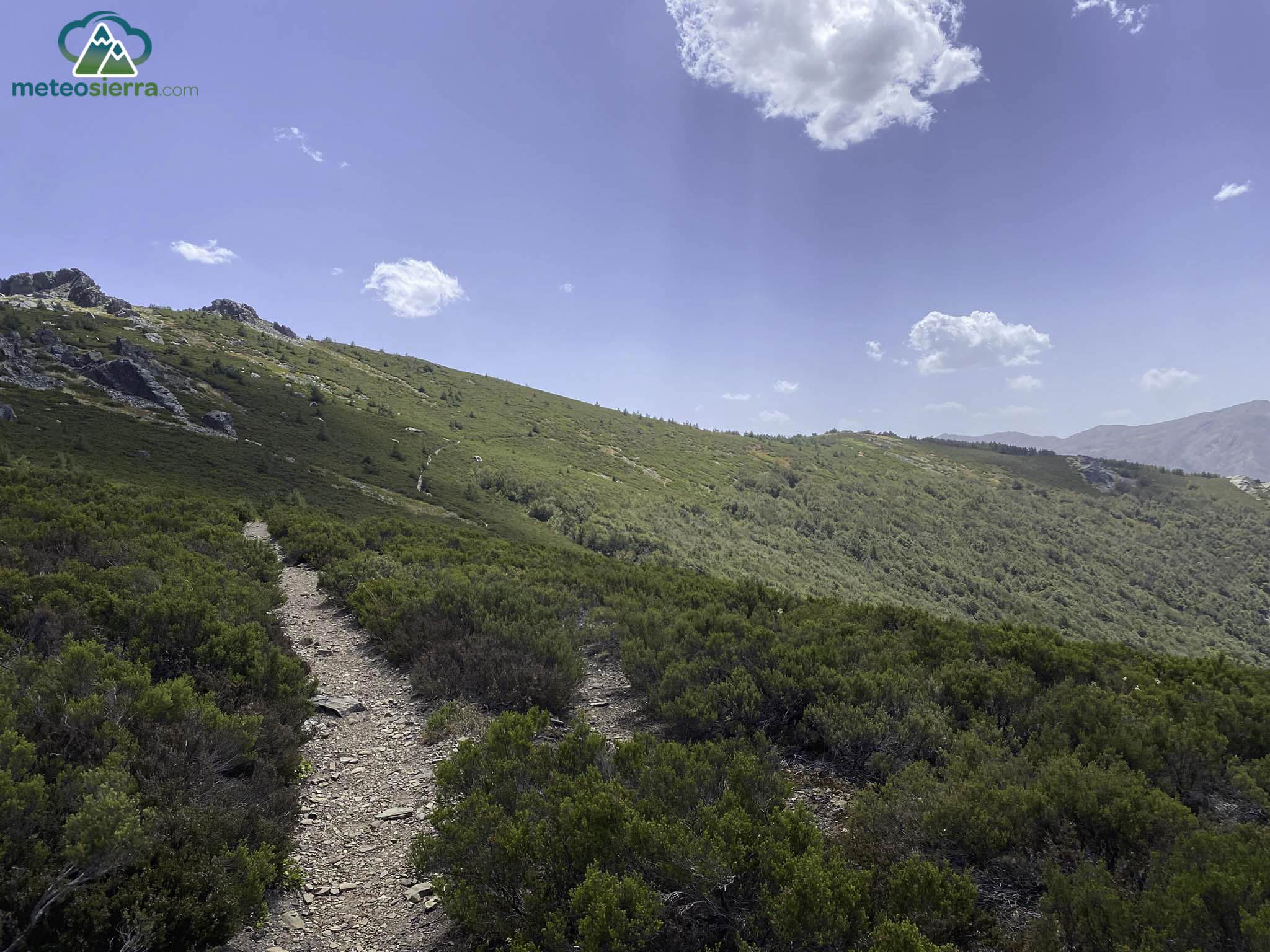 Volvemos por este cómodo sendero hasta dar con el camino de la subida