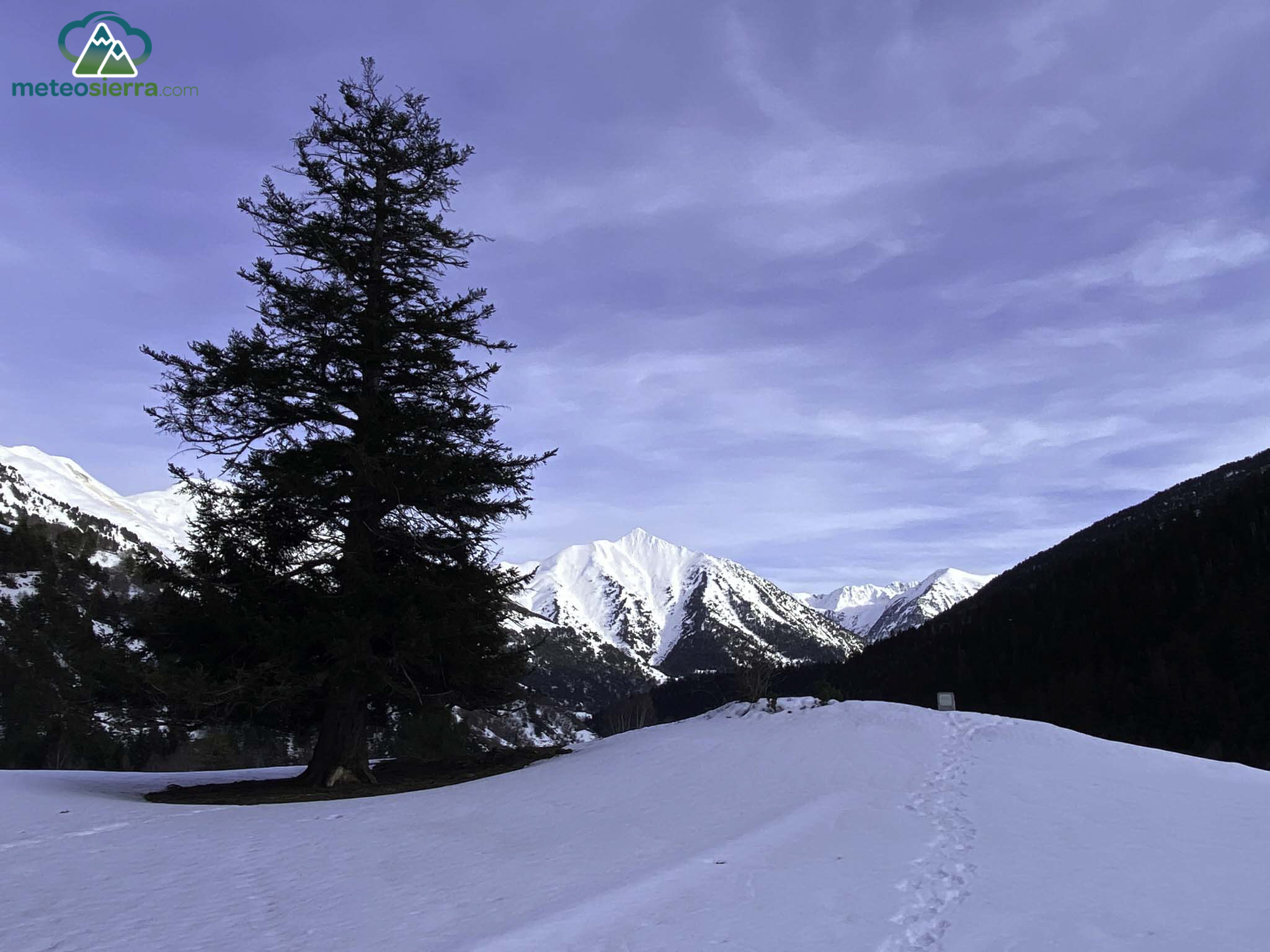 Avets de la Coma de Perosa