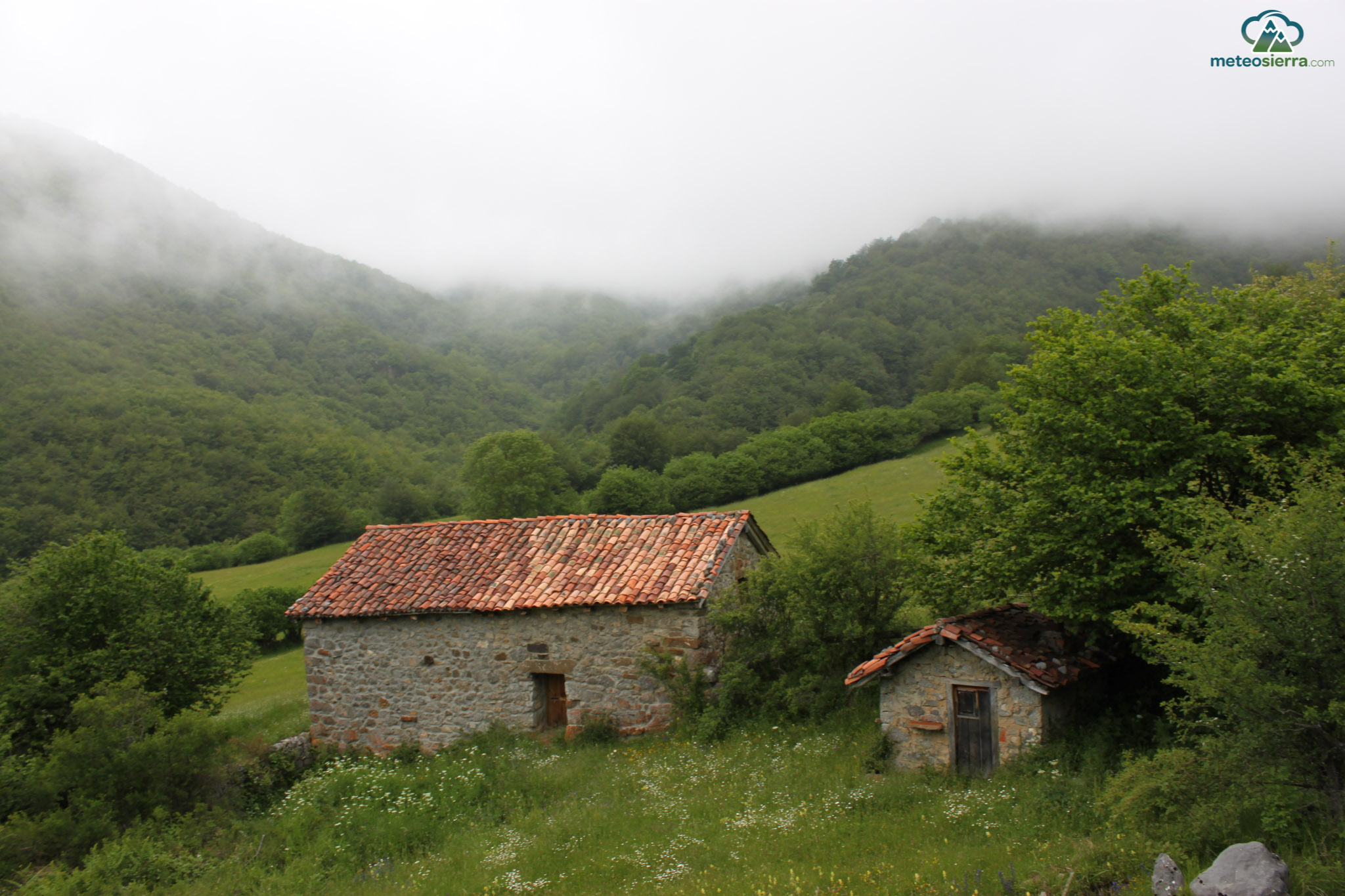 Análisis de la defoliación en la Península Ibérica. Parte 2: Evolución de la defoliación