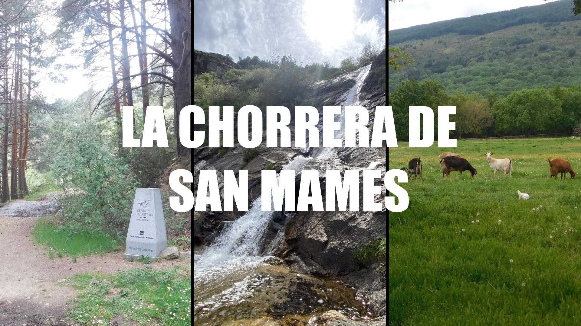 Chorrera de San Mamés