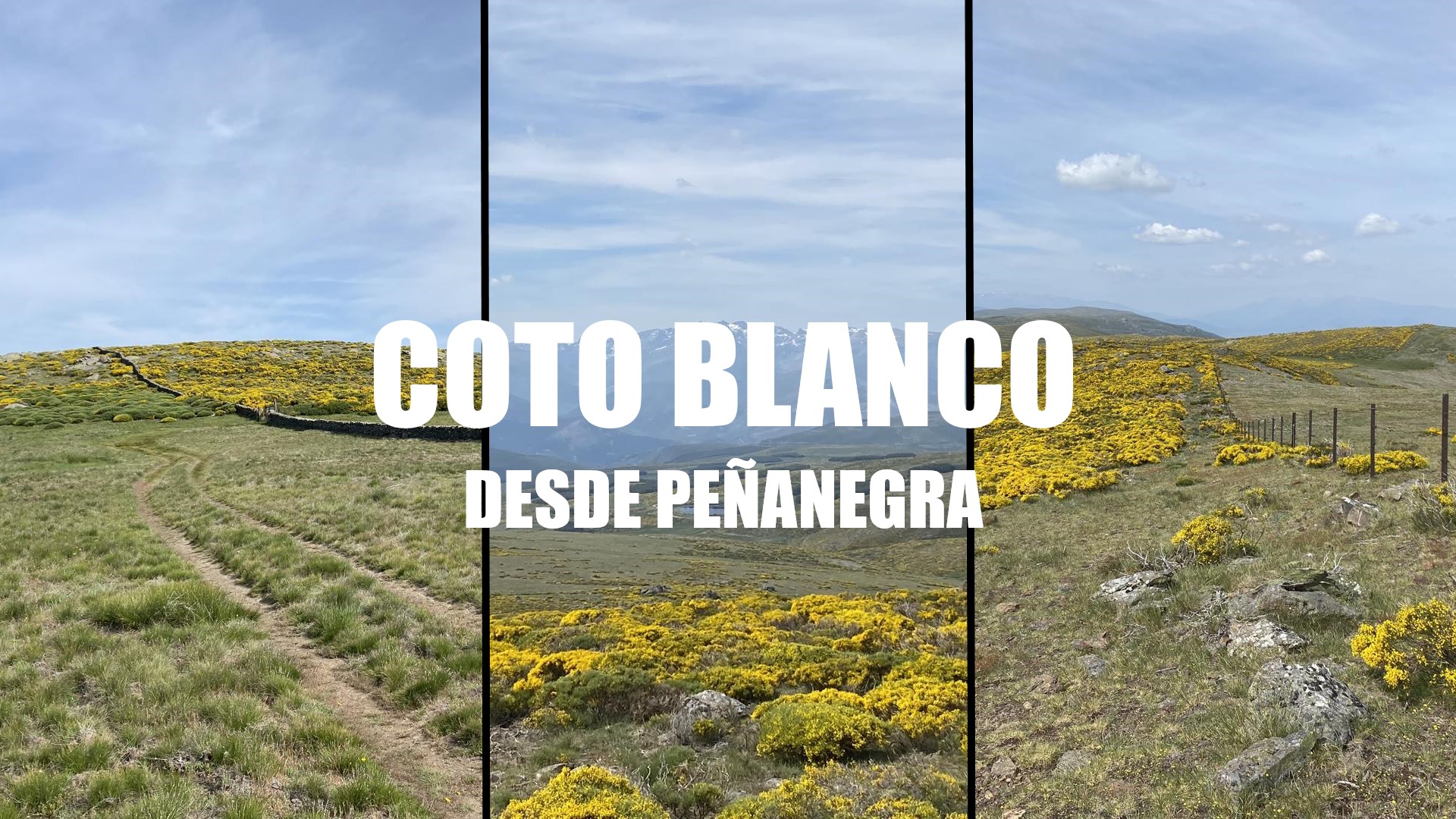 Coto Blanco desde el Puerto de Peñanegra