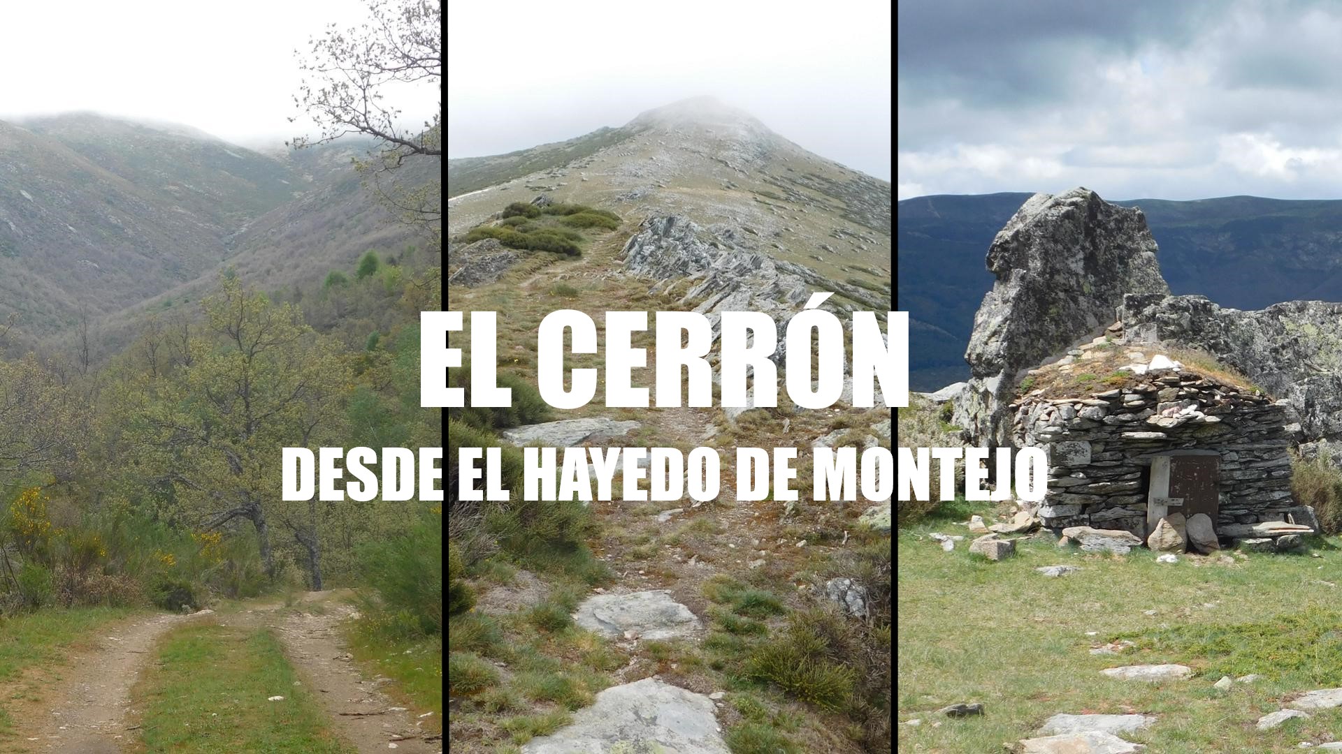 El Cerrón desde el Hayedo de Montejo