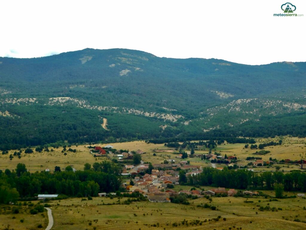 Condemios de Arriba con su extenso pinar