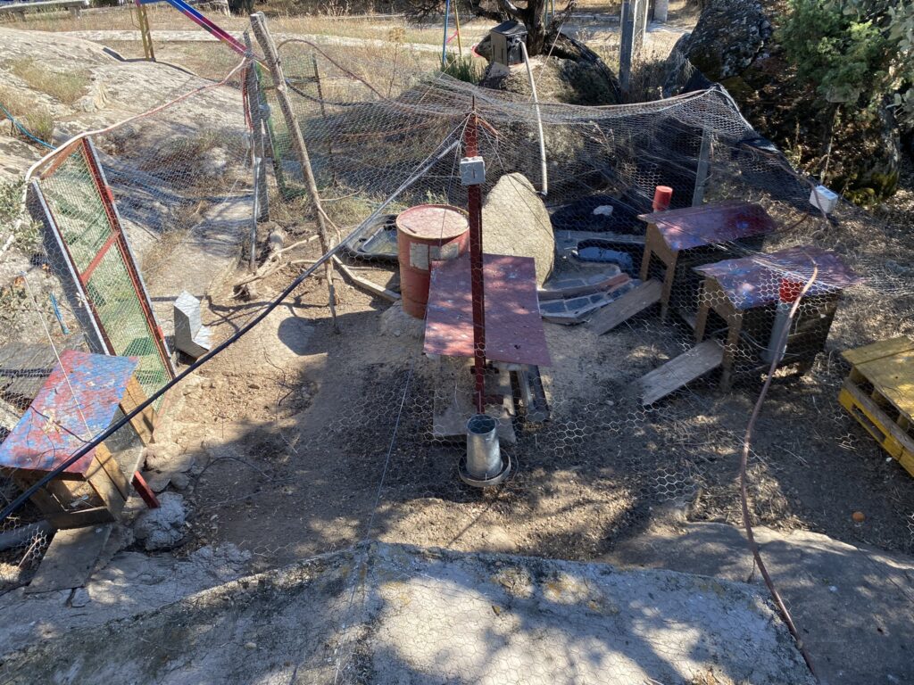 Foto Gallinero Foto Gallinero