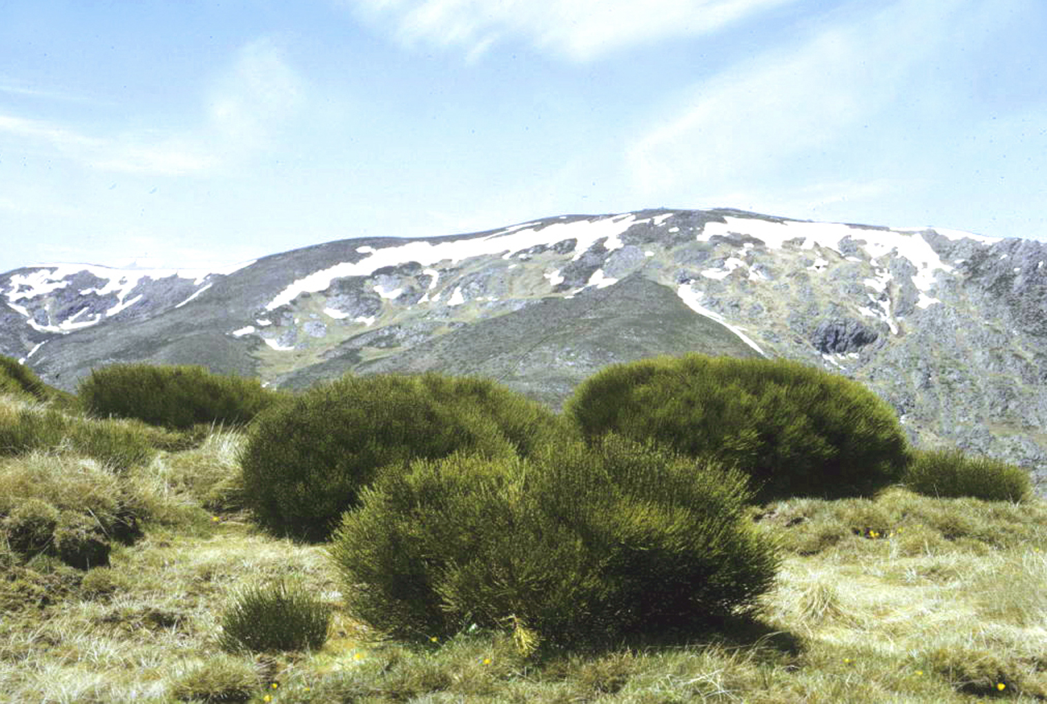 Glaciares de la Sierra de Ayllón