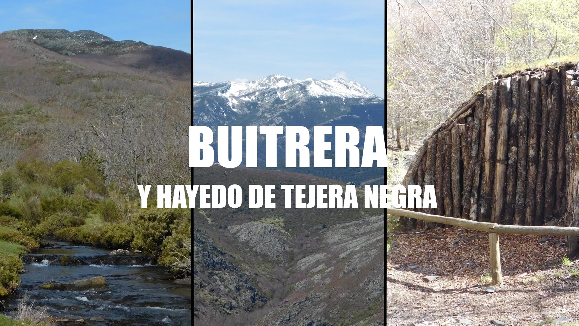 Hayedo de Tejera Negra-Buitrera