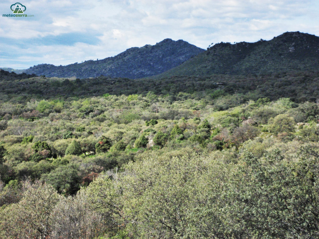 Resumen de la temporada 2012-2013