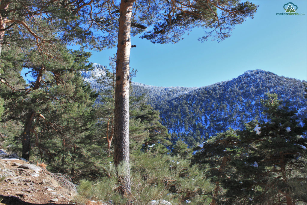 Resumen de la temporada 2013-2014