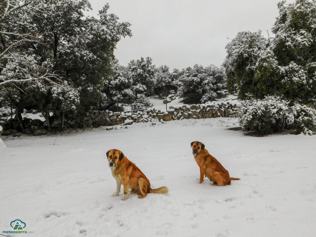 Resumen de la temporada 2016-2017