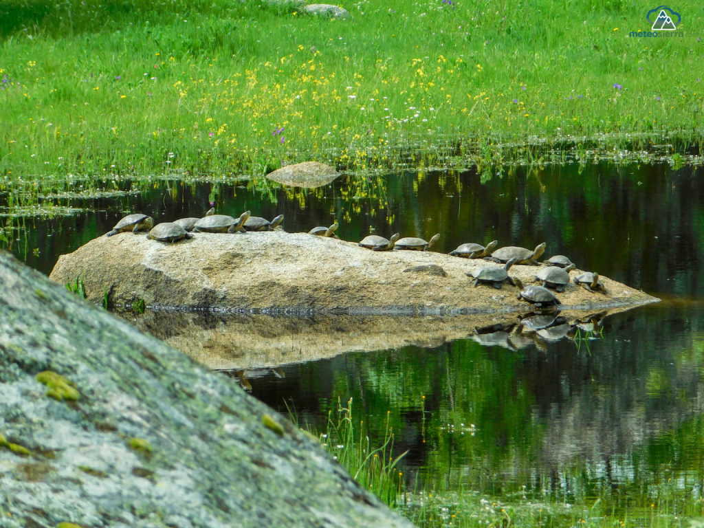 Resumen del año 2016