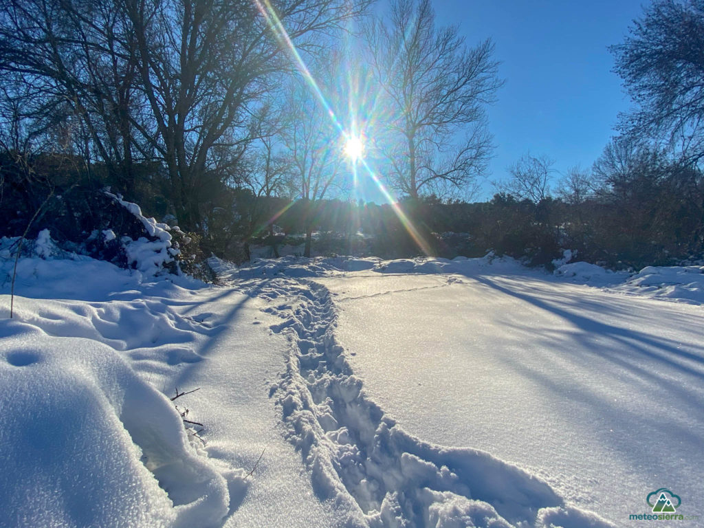 Resumen del año 2021