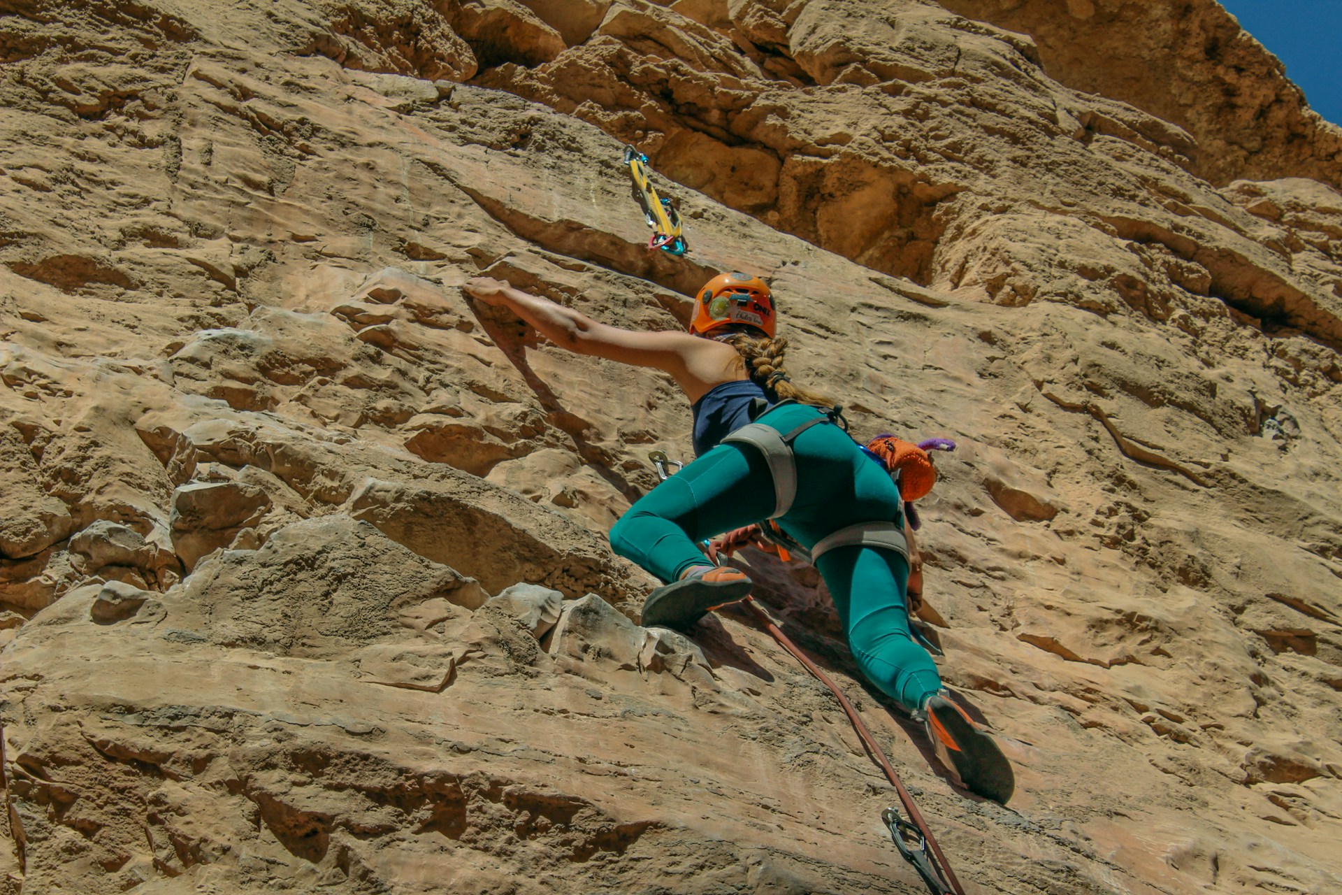 Tipos de Pies de Gato