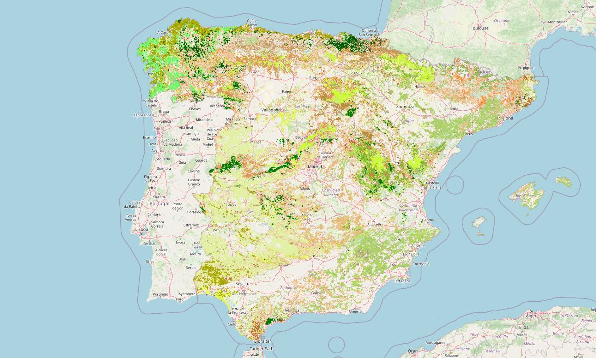 Visor del Mapa Forestal de España