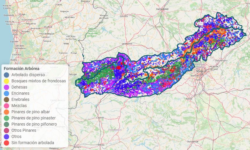 Visor del Mapa Forestal del Sistema Central